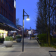 Plaza Lights