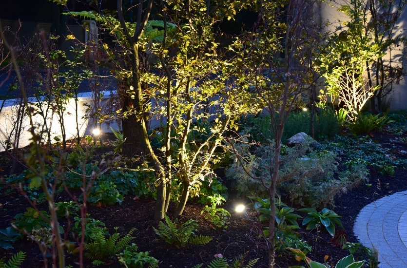 Landscape Lighting