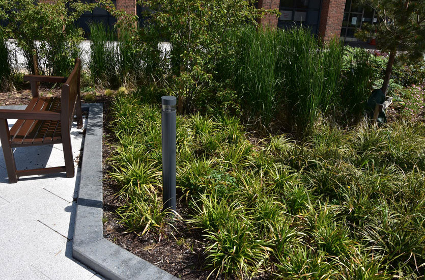 LED Bollard in Flowerbed LED Bollard in Flowerbed