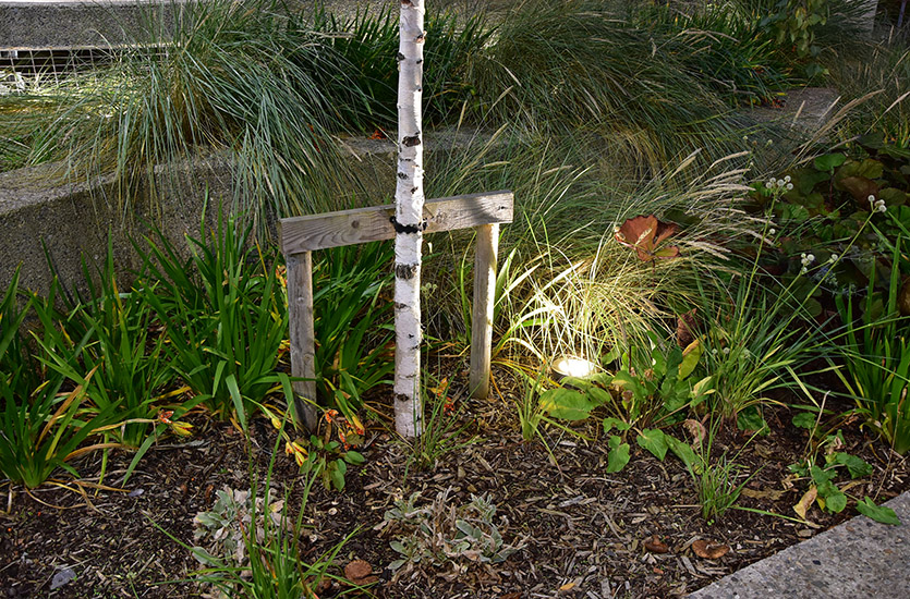 Groundlight at Nightime Groundlight at Nightime