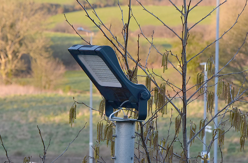 Floodlight on Pole