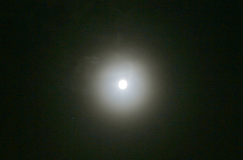 Moonlight Moonlight