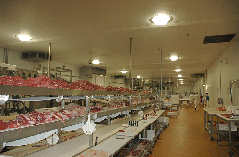 Recessed Lights in Food Processing Room Recessed Lights in Food Processing Room