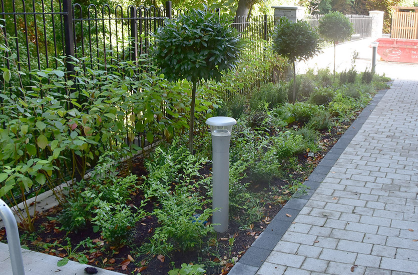 Lighting Bollard in Flowerbed Lighting Bollard in Flowerbed
