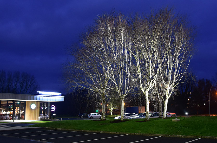Landscape Lighting Landscape Lighting